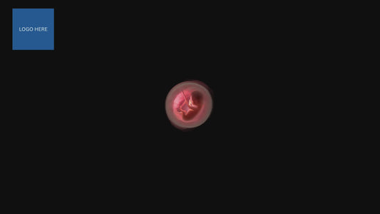 Sanctity of Life | Voice to the Voiceless Video