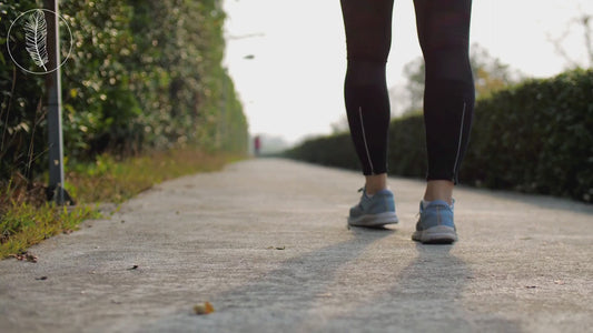 Generic Walk Fundraiser Video